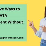 STATA Assignment Help
