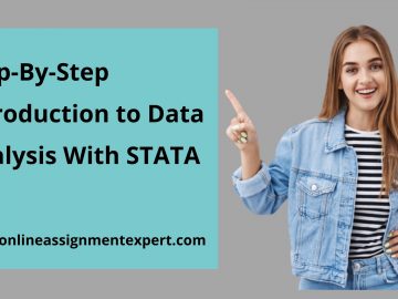 STATA assignment help